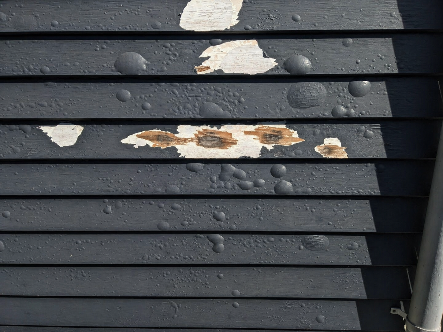 weatherboards-blisters-black-hobart